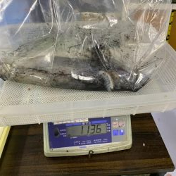 2019初のキロアップ