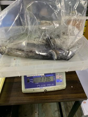 2019初のキロアップ