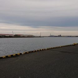 今年の竿初めエビ撒き