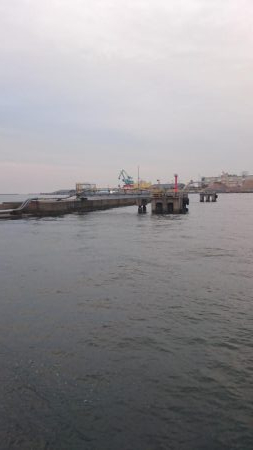 ヒイカエギング