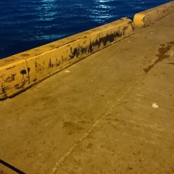 三連休最終日タチウオ