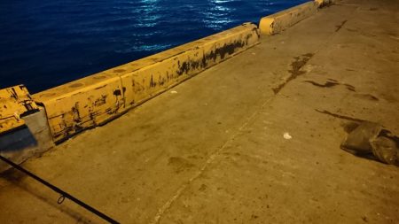 三連休最終日タチウオ