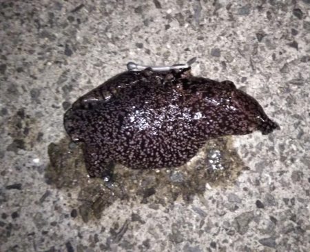 初めての場所でライトゲーム