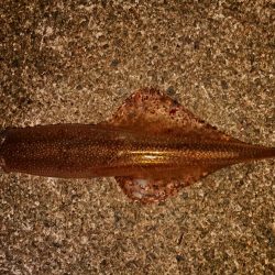 強風の中新規防波堤にて