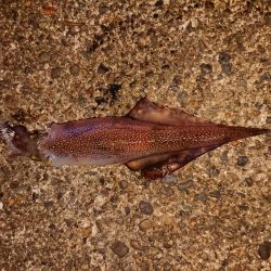 ウネリと強風の中で