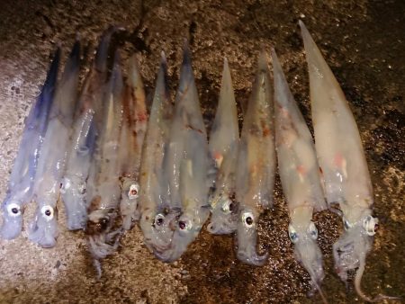 好状況ながら渋い