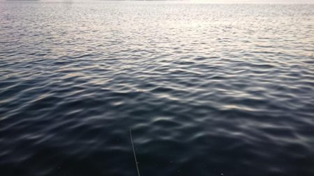 朝練、良型ガシラキャッチ成功♪