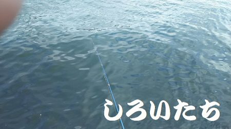 マイワシおかわり、場所移動が大当たり。