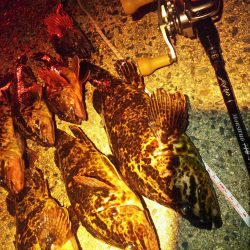 2019初ゴムボートロック