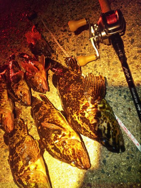 2019初ゴムボートロック