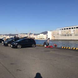 年明けの初釣でマイワシ。