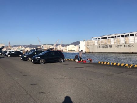 年明けの初釣でマイワシ。