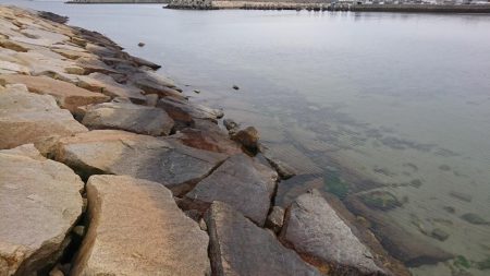 江井ヶ島海岸・穴釣り