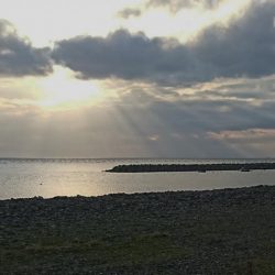 谷八木海岸・根魚