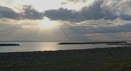 谷八木海岸・根魚