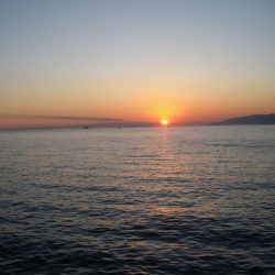 鯖が少しだけ大きくなってた