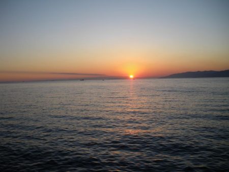 鯖が少しだけ大きくなってた