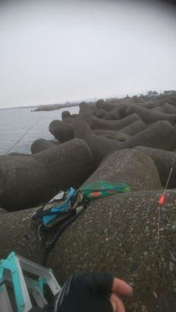 カレイ狙いでしたが、釣れませんでした。