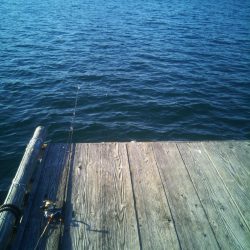 今年初の筏釣り。