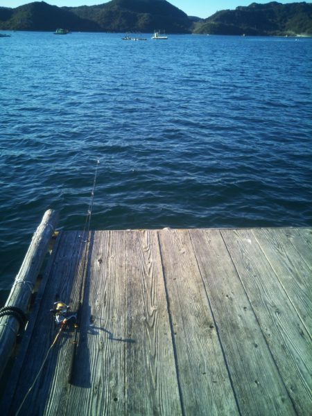 今年初の筏釣り。