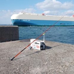 播磨新島でキス釣り