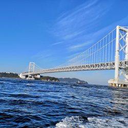 初釣りでデカ鰆ゲット