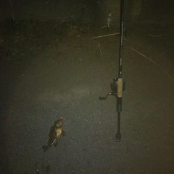 時間が空いたので。