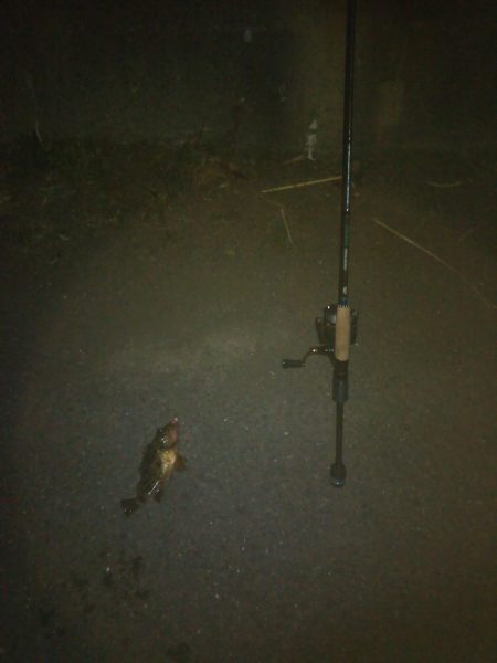 時間が空いたので。