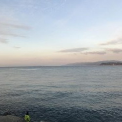 久しぶりのスズキ