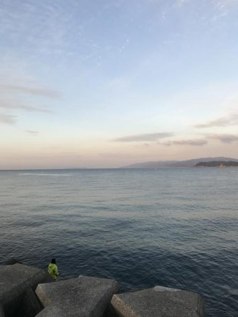 久しぶりのスズキ