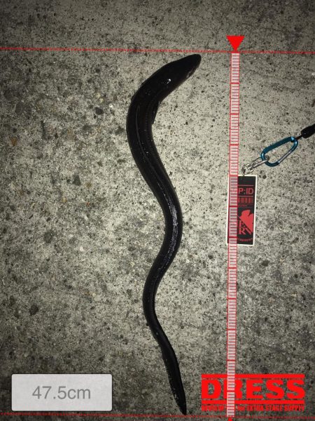 成人違うけど休み