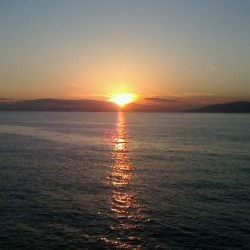 サビキしか釣れん。。