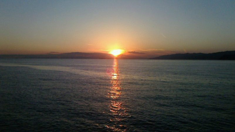 サビキしか釣れん。。