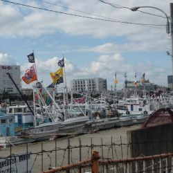 海からのお年玉w