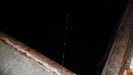 久しぶりのアナゴ釣り