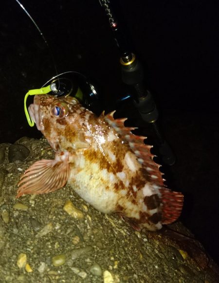 食品コンビナート ガシリング