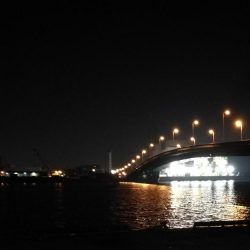 南港カモメ大橋ヘチ釣行 （年明け初キビレチヌ47cm！と ガシラ釣果有り）