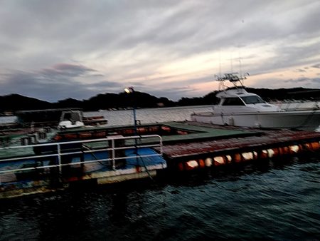 ガシラ釣れました!!