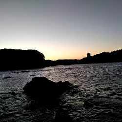 初アオリイカ釣れました!!