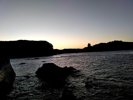 初アオリイカ釣れました!!