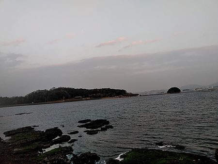 アジはいなくなったのでしょうか??