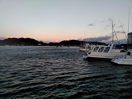 メバルが釣れまたね!!