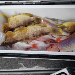 第二大福丸 釣果