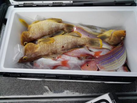 第二大福丸 釣果