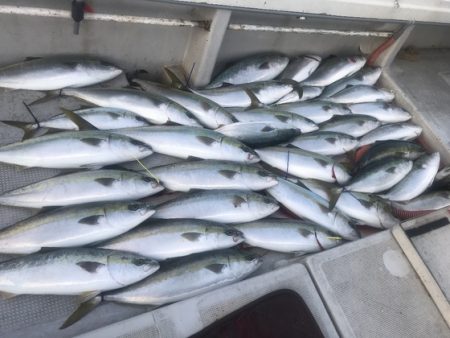 寿裕 (YOSHIHIRO) 釣果