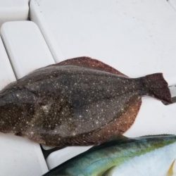 暁〜akatsuki〜 釣果