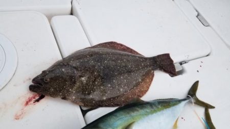 暁〜akatsuki〜 釣果