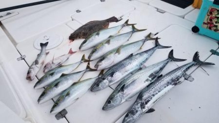 暁〜akatsuki〜 釣果