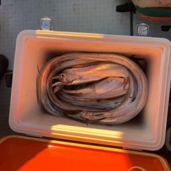 スカイマリン 釣果