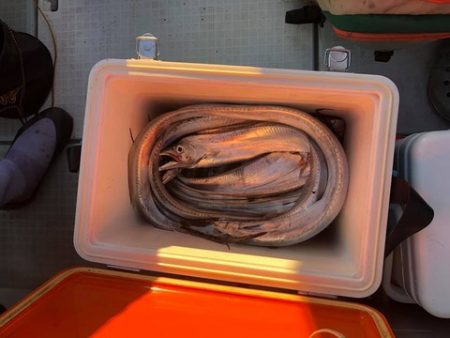 スカイマリン 釣果